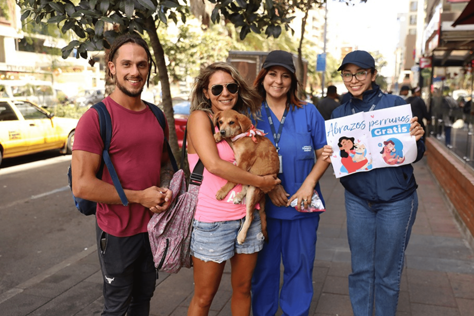 Por Cada 19 Personas Hay Un Perro Callejero En Quito RADIO PICHINCHA